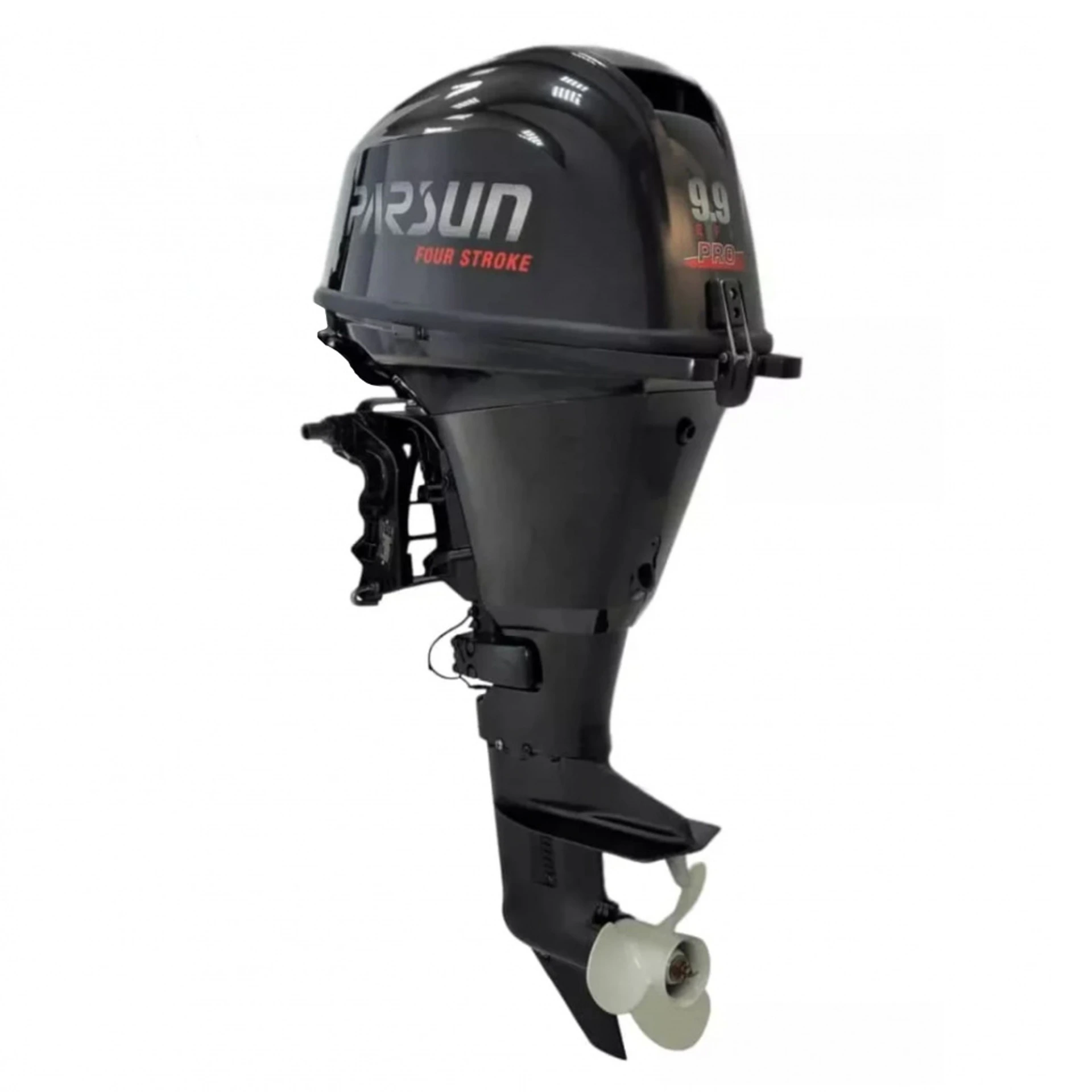 Лодочный мотор Parsun F9.9 AFWS PRO (20) карбюратор