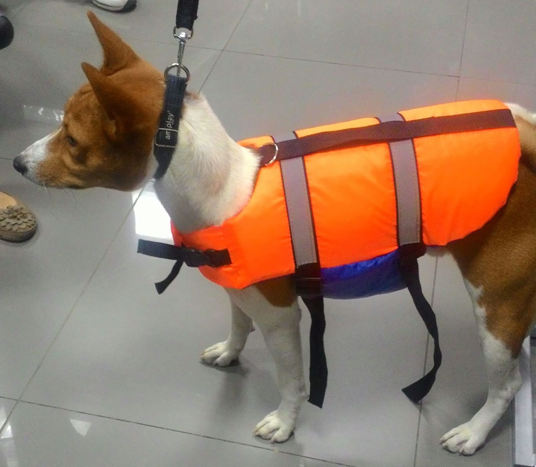 Спасжилет для собак 8-10 кг