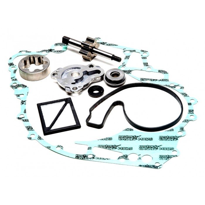 Ремкомплект масляного насоса (заднего) BRP 1503 010-1200  Ремкомплект масляного насоса (заднего) BRP 1503 010-1200