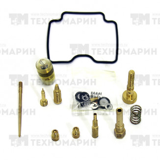 Ремкомплект карбюратора BRP AU-07500