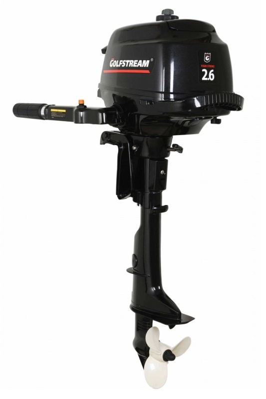 Лодочный мотор Golfstream F2.6 BMS