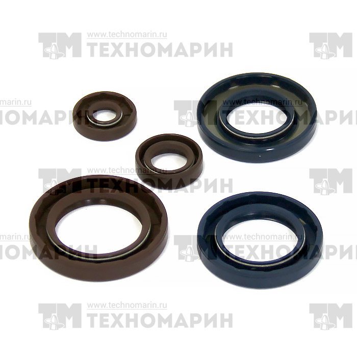 Комплект сальников двигателя BRP P400089400002