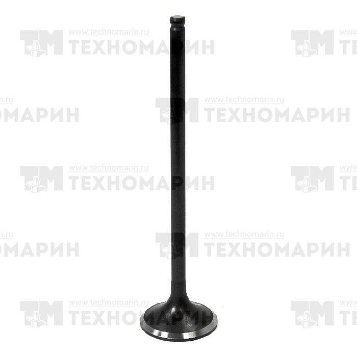 Впускной клапан Polaris AU-09192I