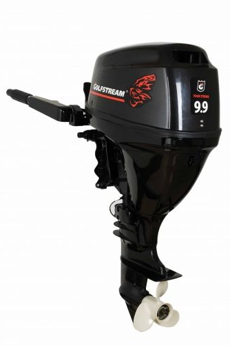 Лодочный мотор Golfstream F9.9 BMS