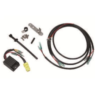 Выпрямитель Mercury