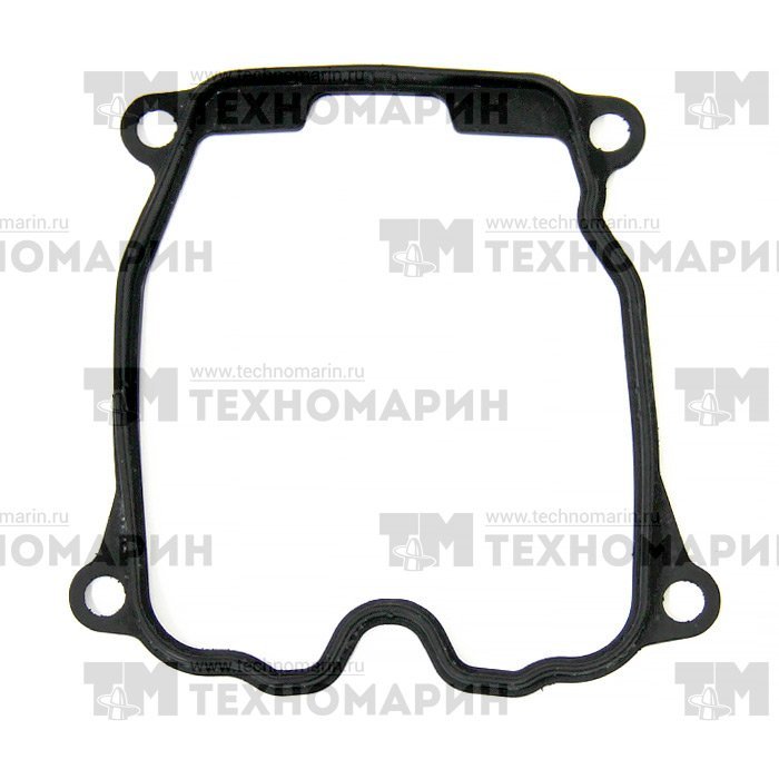 Прокладка клапанной крышки BRP S410089015001