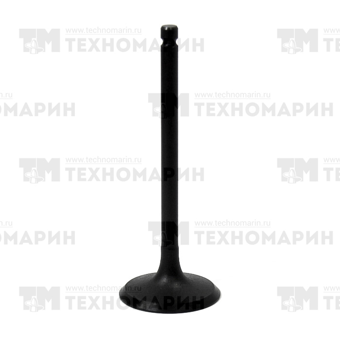 Клапан впускной Polaris AU-09191I