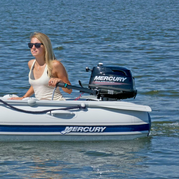 ПЛМ Mercury F6ML цена