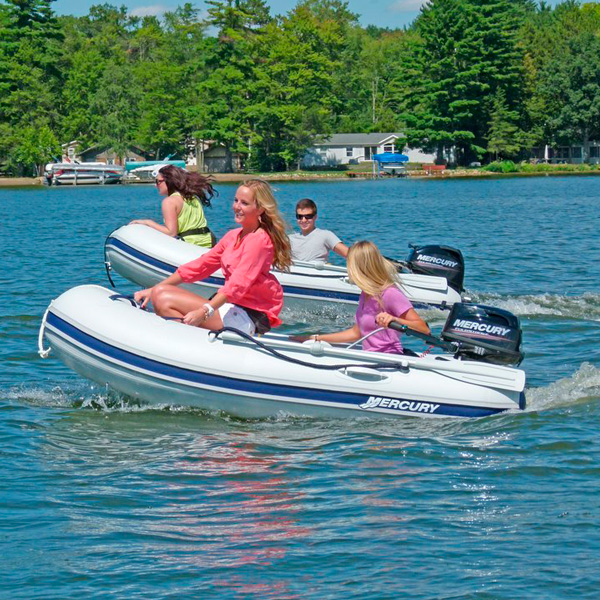 сколько стоит мотор Mercury F6ML