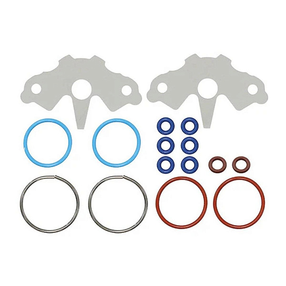 Комплект уплотнений инжектора BRP SM-07397 Комплект уплотнений инжектора BRP SM-07397