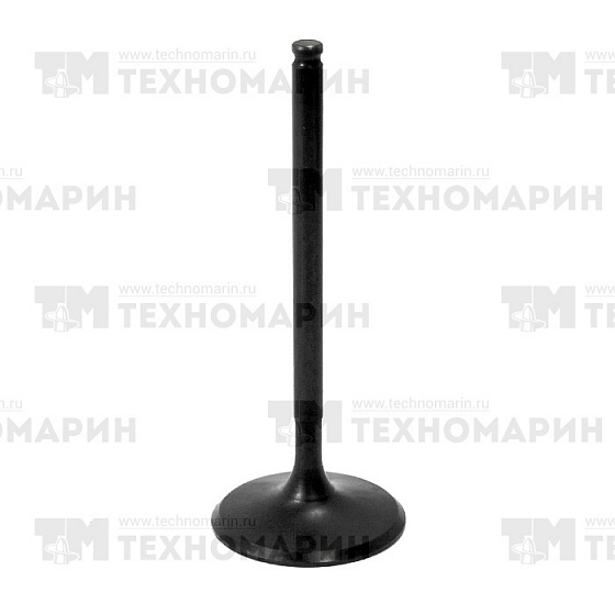 Впускной клапан BRP AU-09203I