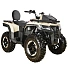 Квадроцикл (комплект для сборки) Apakani OPTIMUS 300 LD