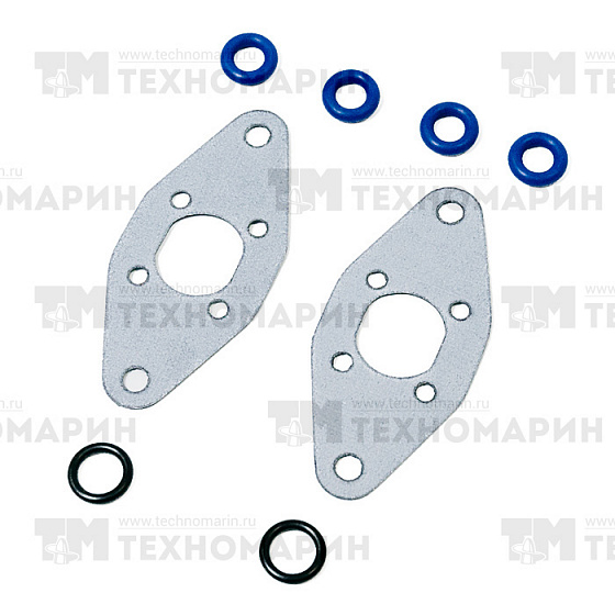 Комплект прокладок RAVE клапана BRP 09-719203