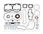 Полный комплект прокладок BRP 1000 SDI 09-711289
