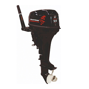 Лодочный мотор Golfstream TE9.9 BMS Enduro