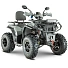 Квадроцикл (комплект для сборки) Yacota Viking 200 PRO серый