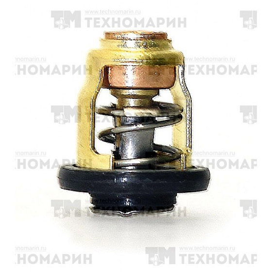 Термостат Yamaha 6E5-12411-30