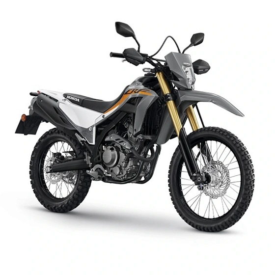 Мотоцикл Honda CRF300 LDP 2TH серый Мотоцикл Honda CRF300 LDP 2TH серый