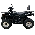 Квадроцикл Bashan BS200AU-19 черный Квадроцикл Bashan BS200AU-19 черный