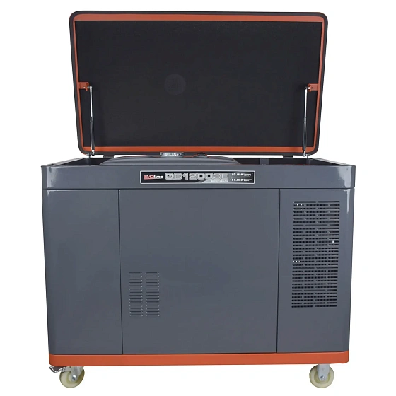 Генератор бензиновый EVOline QB 12003 E Генератор бензиновый EVOline QB 12003 E