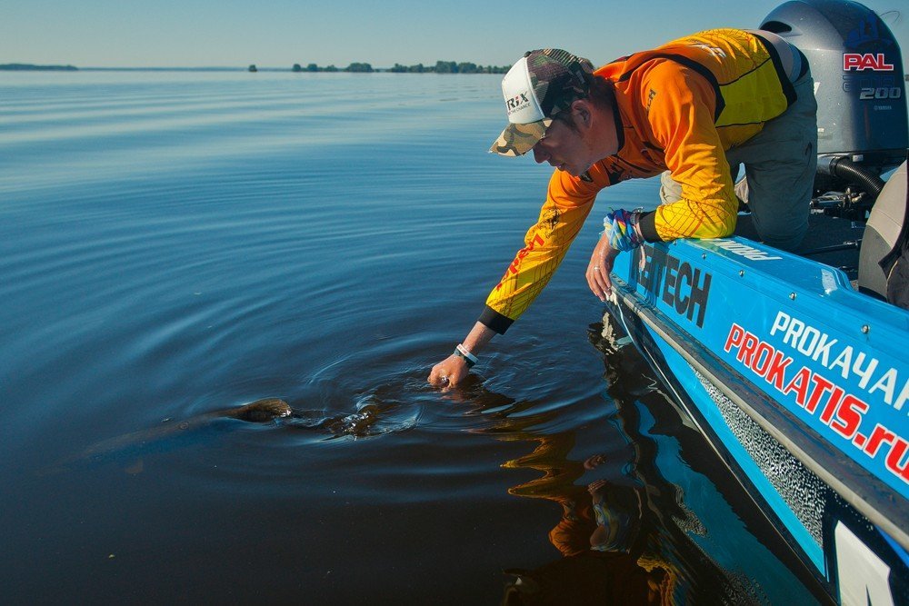 4644351147cbc1beeca3af090c6039b8.jpg 4644351147cbc1beeca3af090c6039b8.jpg