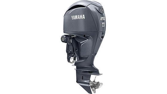 Yamaha F250HETX 